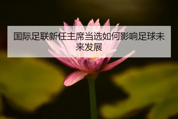 国际足联新任主席当选如何影响足球未来发展